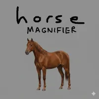 Play Horse Magnifier Now