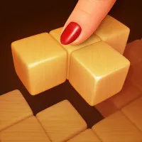 Play Wood Block Puzzle 3 now!