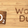 Word Duel