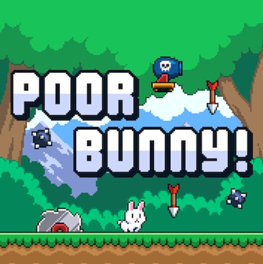 Poor Bunny